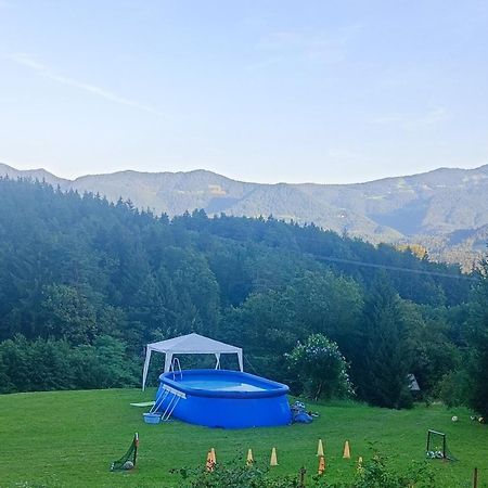 Apartmaji Borstner Vransko Exteriér fotografie