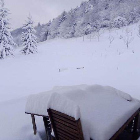 Apartmaji Borstner Vransko Exteriér fotografie