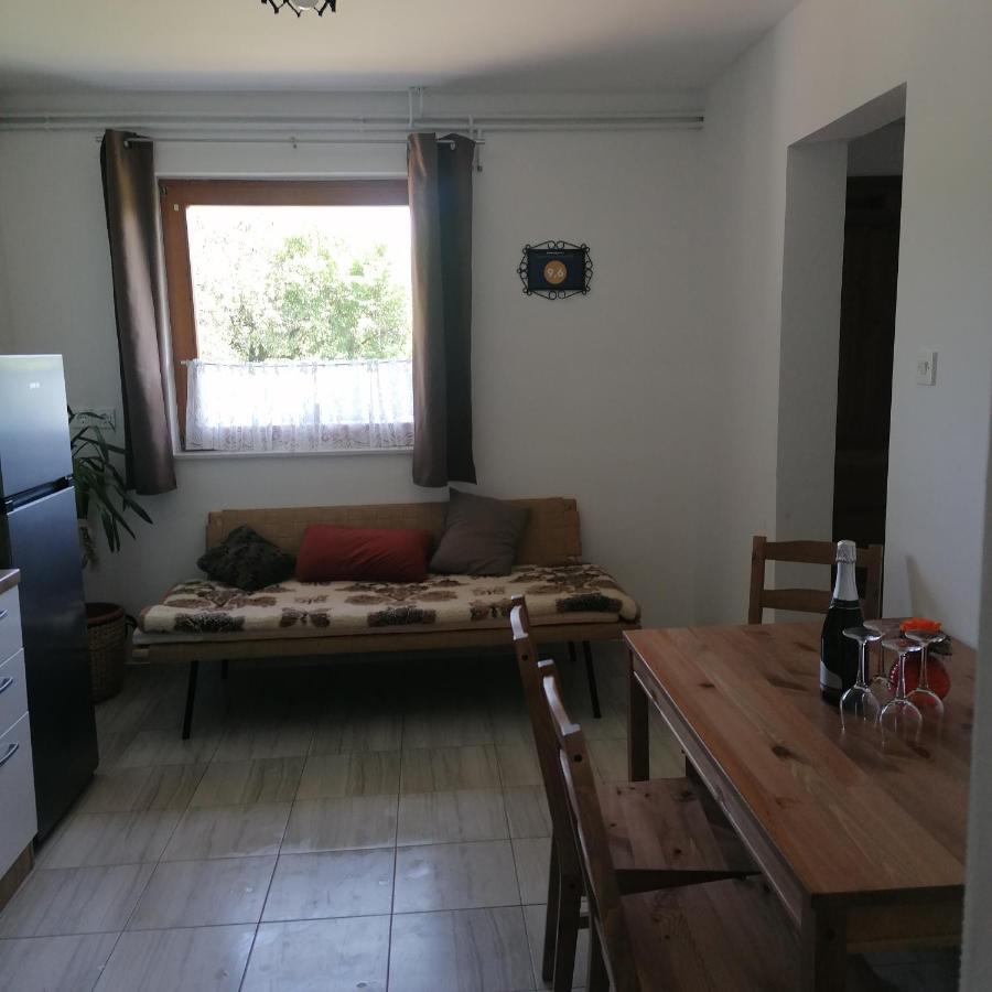 Apartmaji Borstner Vransko Exteriér fotografie