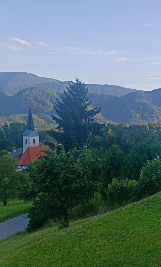 Apartmaji Borstner Vransko Exteriér fotografie
