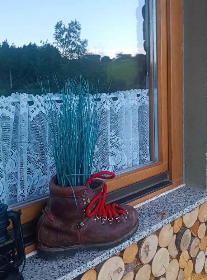 Apartmaji Borstner Vransko Exteriér fotografie