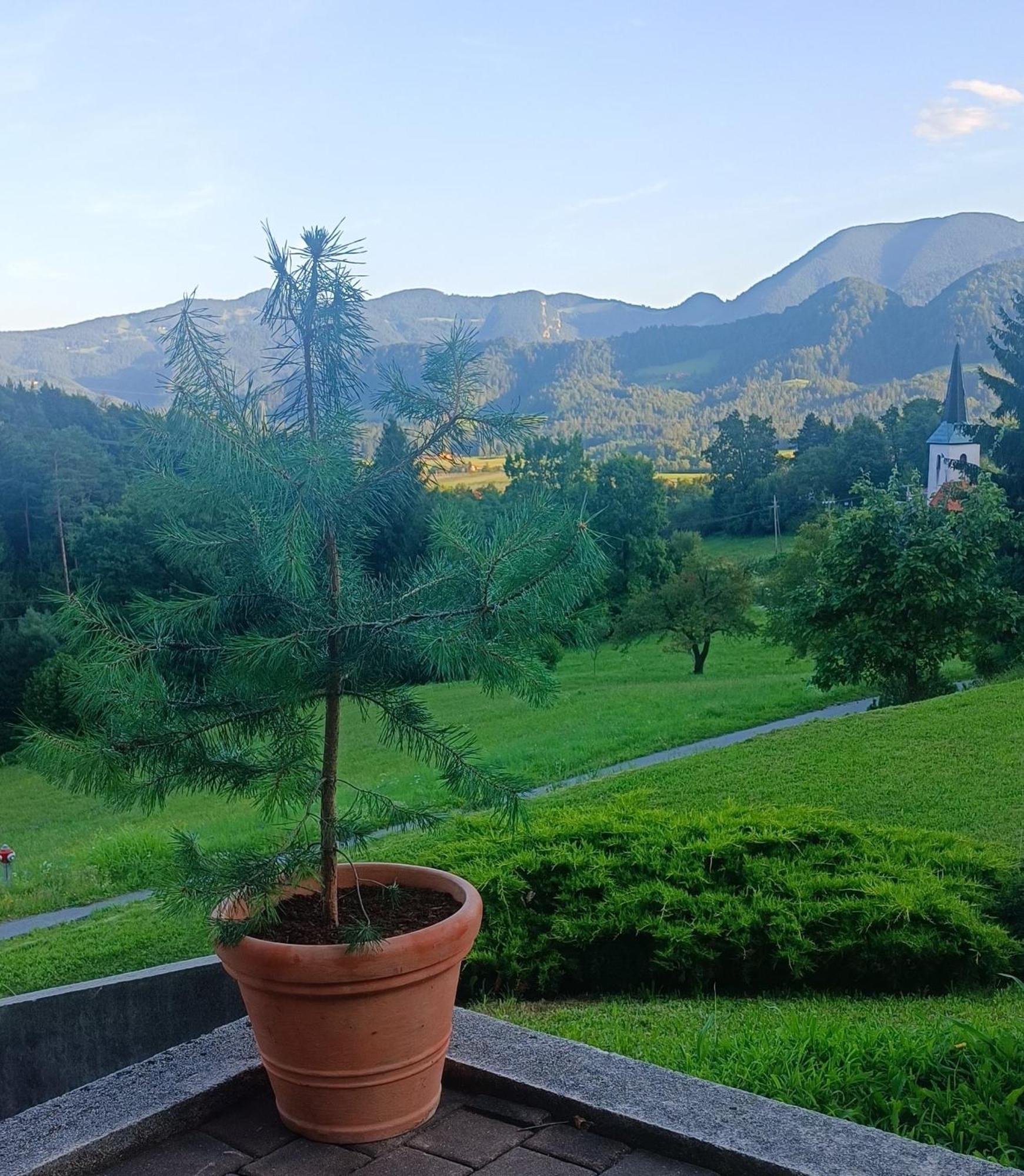 Apartmaji Borstner Vransko Exteriér fotografie