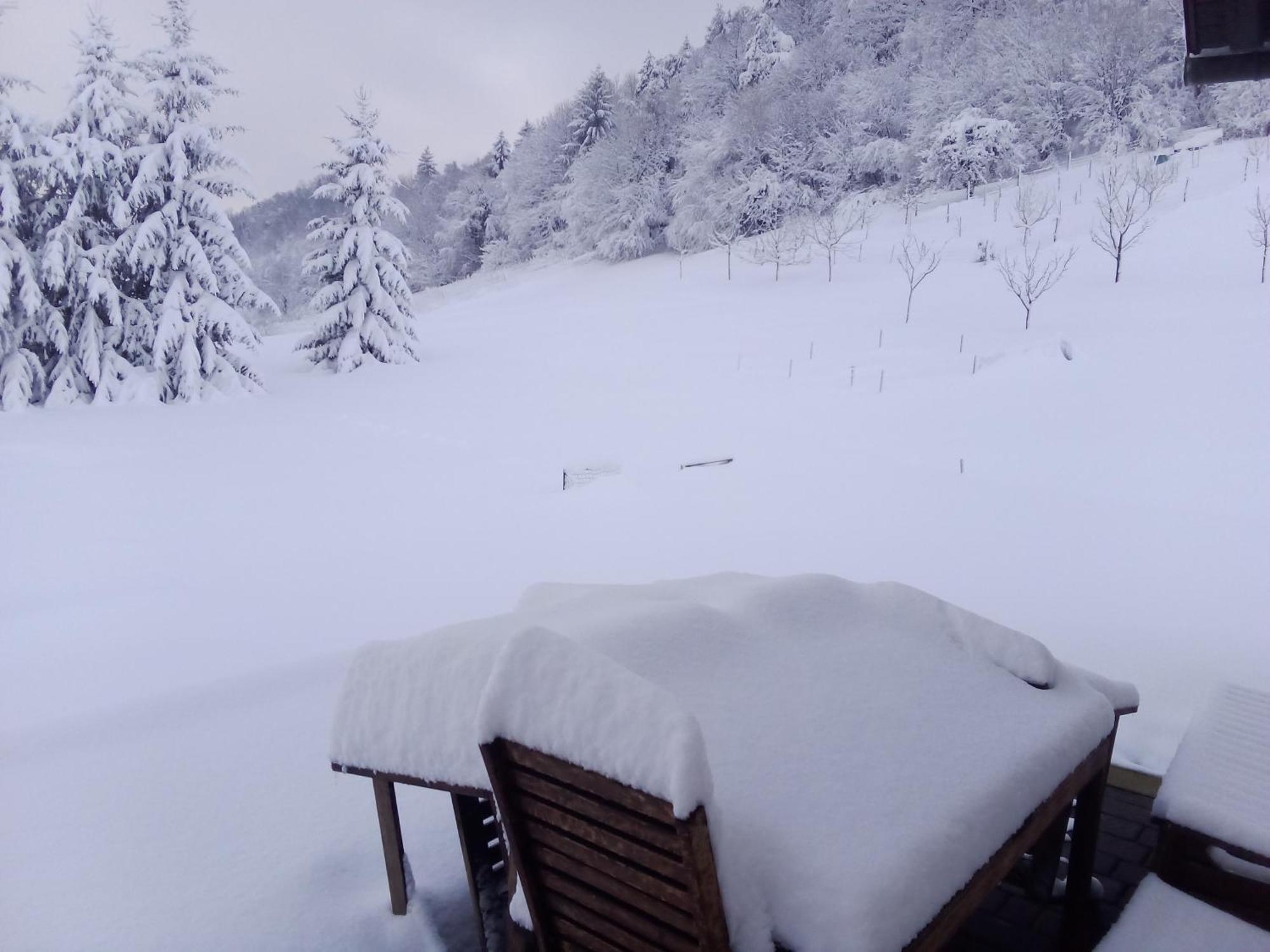 Apartmaji Borstner Vransko Exteriér fotografie