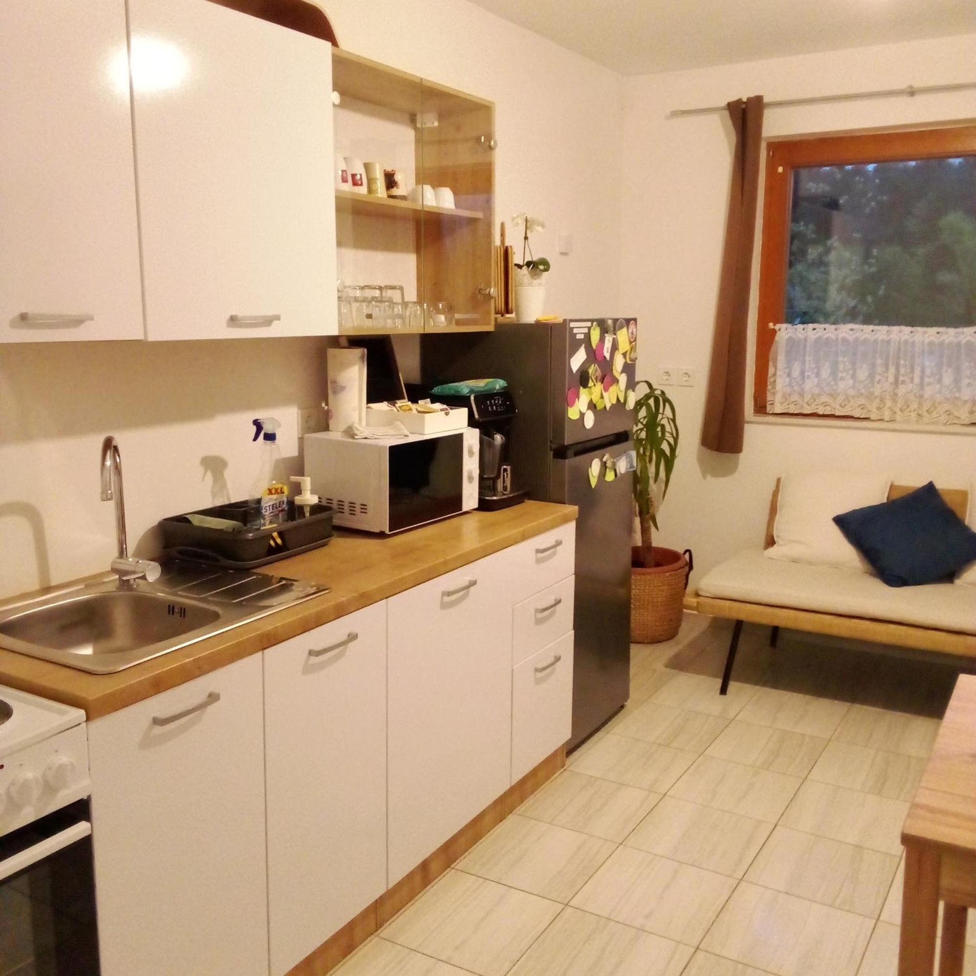 Apartmaji Borstner Vransko Exteriér fotografie